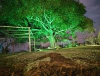 Mí Santa Guadalupe Esquina ctes - B&B Esquina