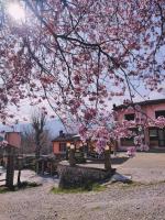 Agriturismo Villa Enrichetta - Ferienwohnung Bettola