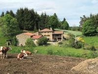 Ferme - B&B