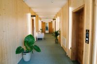 Sobe rooms JELEN JELENOV GREBEN - B&B Podčetrtek