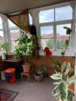 Cozy&Gemütlich - Ferienwohnung