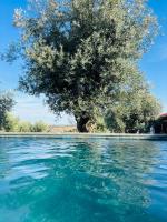 Montado Village - B&B Portel