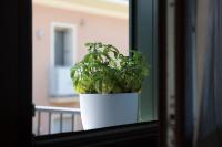 15 min dal centro - Moderno appartamento travato con parcheggio gratuito - B&B Legnaro