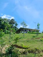 Bosque Místico - Chambres d’hôtes San Carlos