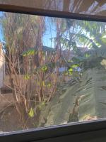 GMP Suites - B&B