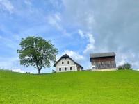 Ferienwohnung Hochtal - Ferienwohnung