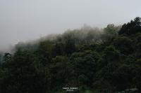 Chi Bo ดอยช้าง - Ferienwohnung Ban Huai Khai