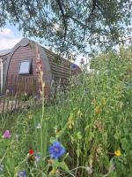 Swifterlodge - Ferienwohnung Kerkenveld