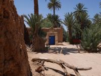 La maison saharaouie - B&B Tirhmert