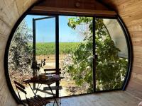 Wine Barrel Room with Vineyard View