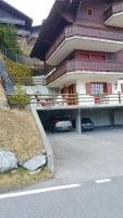 Tetras 8 - B&B