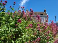 Sea View Cottage - B&B