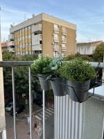 Sanja, Old Town - B&B Belgrado