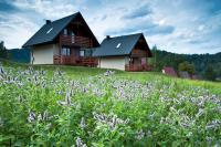 BIESZCZADZKI RAJ nad samym jeziorem z sauną i basenem 4 POKOJE - Chambres d'hôtes Olchowiec