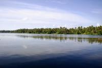 Ambili Riverfront Villa with Party Hall - Chambres d’hôtes Irimbranallūr