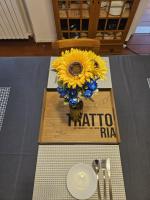 Pisa Tower view - B&B Pisa