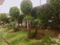 Appartement de standing calme en centre ville IMAZUR - Bed and Breakfast Tanger