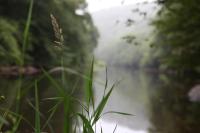 Art Tout - Ferienwohnung Fontenoille