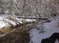 Junior Suite Figuier con Terrazza e Vista Parco