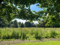 NEU! Luxus Apartment - Ferienwohnung Salgen