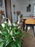 Apartament w centrum z panoramą miasta - B&B Bielsko-Biała