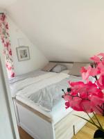 Apartment Scholle Steinbeck - Ferienwohnung Recke