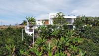 House Green el cafetal - B&B
