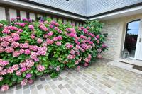 Au Milieu des Haras - B&B Saint-Pierre-Azif