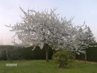 Nuitée ZEN - Ferienwohnung Montigny-le-Chartif