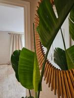 Séjour Confortable dans un appartement Élégant - B&B Esauira