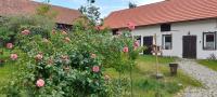 Ostoja Kamionki - Ferienwohnung