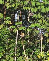 Camera Matrimoniale con Terrazza