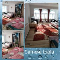 Triple Room with Mountain View