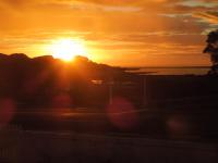 Raglan, walk to harbour and town, garden views - Bed and Breakfast Raglan