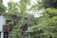 ChirpingNest - Tranquil Exclusive Retreat - B&B Kumarakom