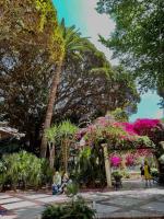 Ático reformado, luminoso y amplio - B&B Alicante