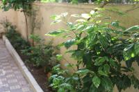 Nasr city villa - B&B Il Cairo