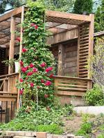 Riverwood Home - Three bed rooms - Bed and Breakfast