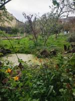 The Secret Orchard - B&B