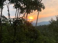 Entre Brisas y Árboles - B&B Puyo