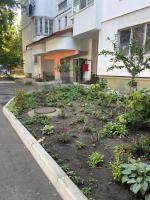 Art House Telecentru - B&B