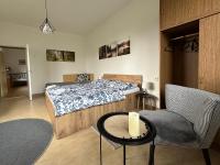 Apartmán Aneta Nové Město na Moravě - B&B Nové Město na Moravě