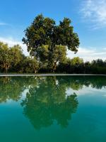 Tenuta Paino - B&B