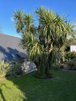 Rosedale a charming 3 bedroom detached cottage with parking - B&B Brixham