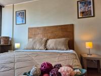 Apartamento Del Río - B&B Santiago de Chile