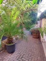 TheBackyard - B&B Osterwieck