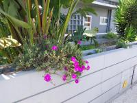 Appartamento con Vista Giardino