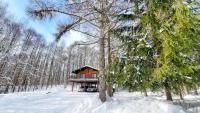 『一軒丸々貸切』徒歩5分圏内カフェ 自然を満喫 Modern Ski Chalet +WiFi & 5min walk to cafes. - B&B Nagano