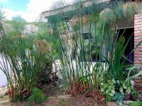 Casa laberinto, Entre cerros, cómoda cama de 2x2 - B&B