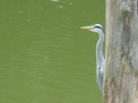 La suite du paysan terrasse privative avec salon de jardin et bain de soleil cuisine privé bain à remous privatif plage de sable fin à 7 mn - Ferienwohnung Tréméoc